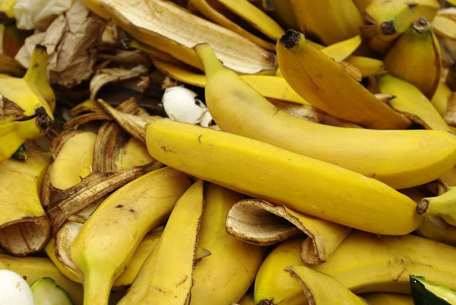 10 Manfaat Kulit Pisang yang harus anda Ketahui!. Kandungan kulit pisang. fungsi kulit pisang. pemanfaatan kulit pisang. kegunaan kulit pisang. manfaat makan pisang.