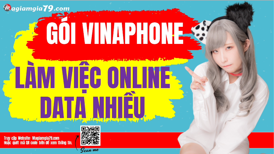 Gói Vinaphone để làm việc Online data nhiều