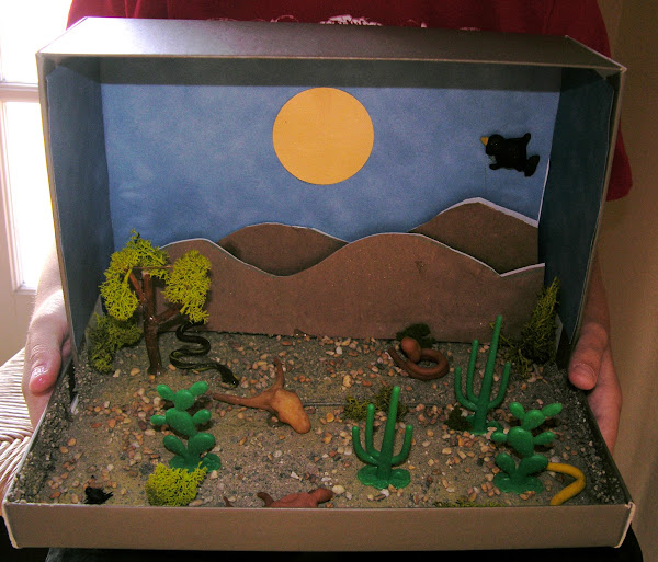 namc montessori studying zoology lower elementary vertebrate animals student diorama of desert snake