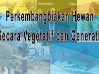 Perkembangbiakan Hewan Secara Generatif dan Vegetatif