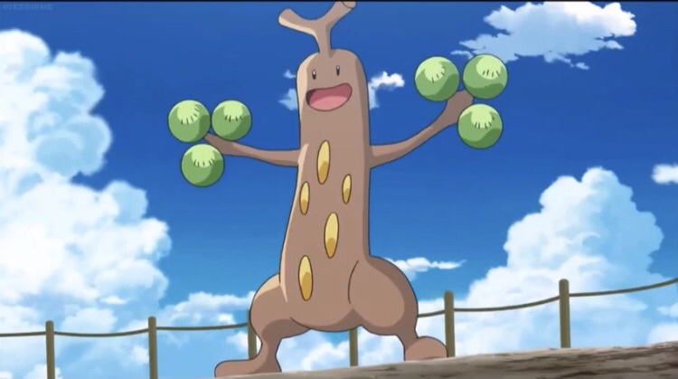 Best Bonsly and Sudowoodo Nicknames ideas