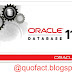 How to Install Oracle 11G Enterprise Edition 