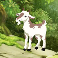 G2R Searching Goat Child 