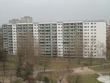 DSC05884