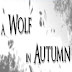 A Wolf in Autumn