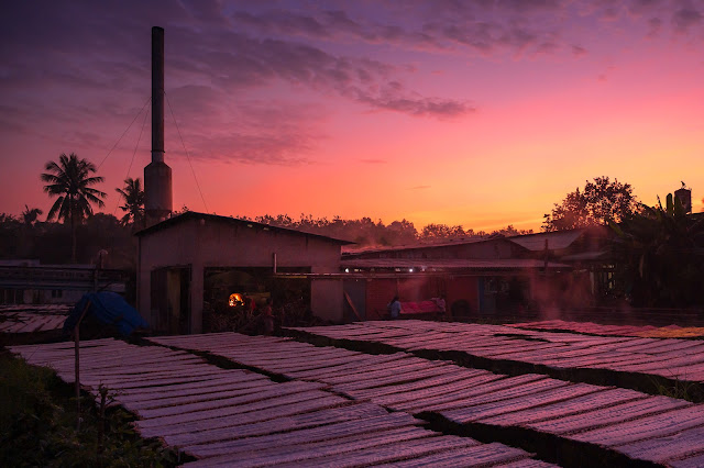 Bình minh làng nghề bột khoai