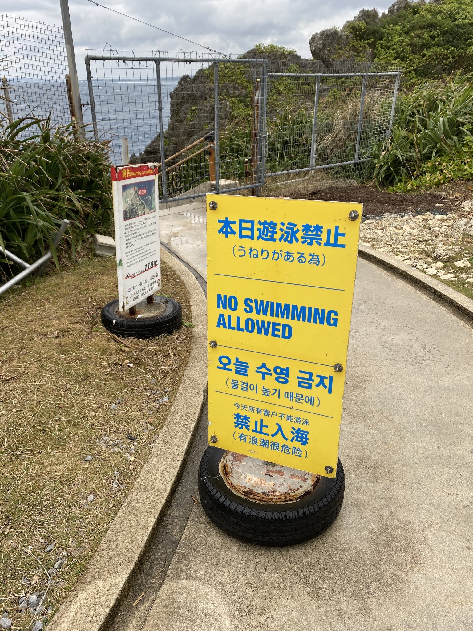 青の洞窟シーラバーズ沖縄ｂｌｏｇ １月８日 沖縄 青の洞窟 体験ダイビング