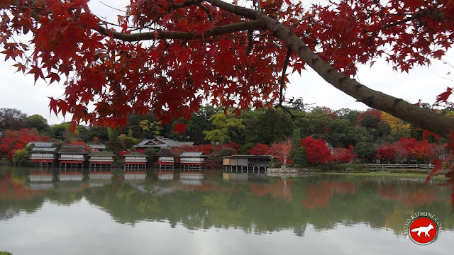 érables en automne à kyoto au bord d'un lac