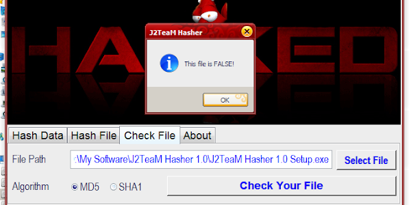 J2TeaM Hasher version 1.0