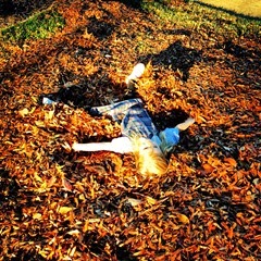 leaf angels