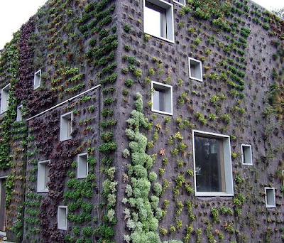 Living Walls, Netherlands