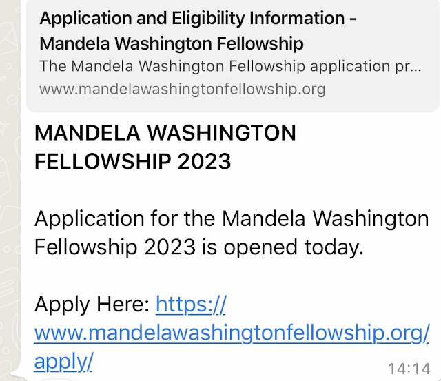 Mandela Washington fellowship 2023 scholarship 