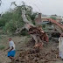 गाजीपुर में विशालकाय पीपल के पेड़ से दबकर पूर्व प्रधान की मौत, 4 लोग घायल