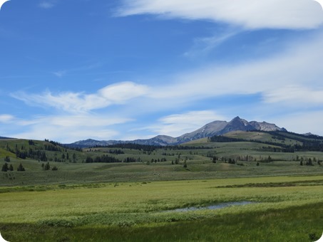 Swan Lake Flats from  Bunsen Peak