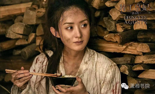 Zanilia Zhao Li Ying in 2017 Chinese time-travel drama Princess Agents