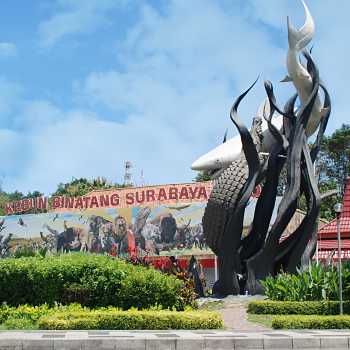 Zoo Surabaya