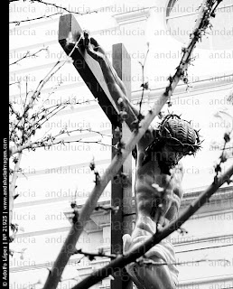 http://www.andaluciaimagen.com/Figura-de-Cristo-crucificado--Semana-Santa--Albacete_21925.jpg