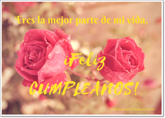 Tarjeta. cumpleaños, mejor, parte, vida, rosa,  