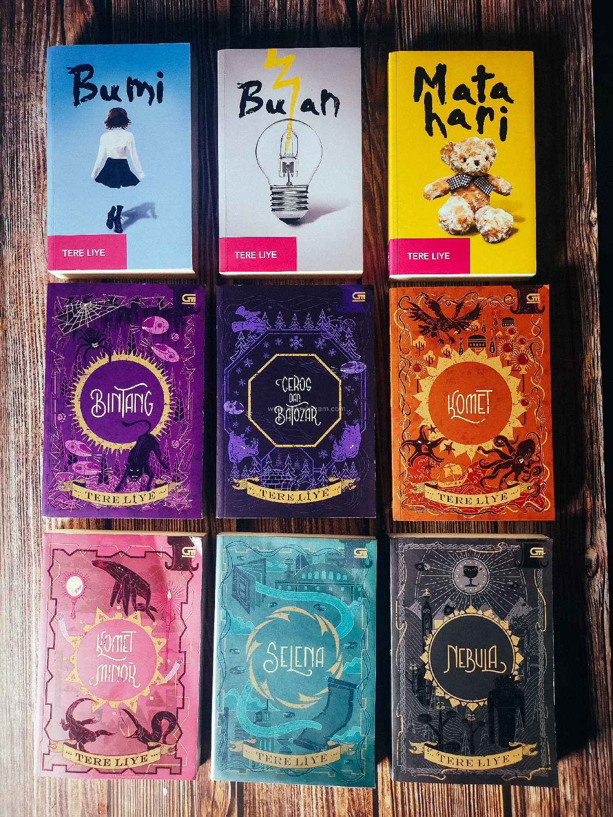 Koleksi Buku Bersiri Bumi Oleh Tere Liye