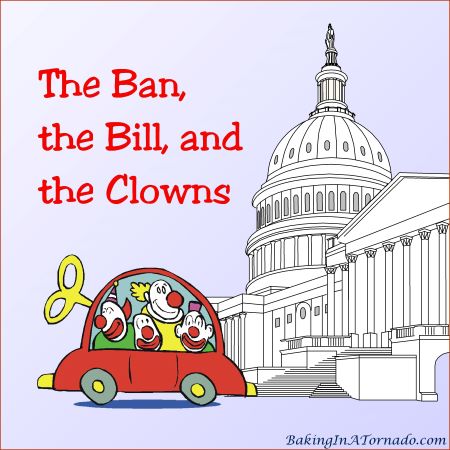 The Ban, the Bill and the Clowns | graphic designed by, featured on, and property of Karen of www.BakingInATornado.com | #MyGraphics #politics