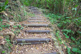 forest, trail, hill, steps, logs, Okinawa