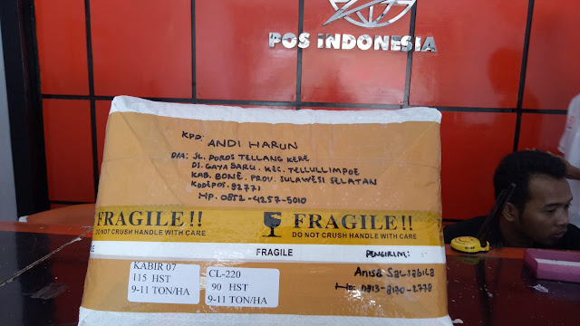 Testimoni Pengiriman Benih Padi @20kg ke Sulawesi Selatan