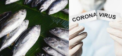 Virus Corona dan ikan