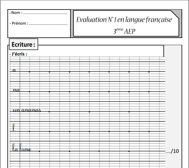 L'éxamen N 1 de la langue française - 3ème AEP