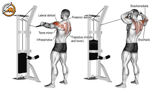 12 Best Compound Shoulder Exercises for Bigger Shoulders