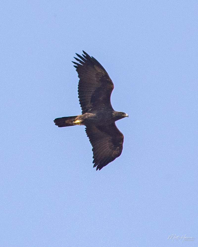 Find Us  Hawkridge Bird of Prey Centre