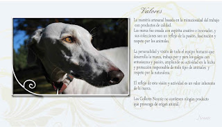 Collar Galgo Nonnie Valores