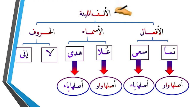 الألف اللينة في الأسماء والافعال والحروف