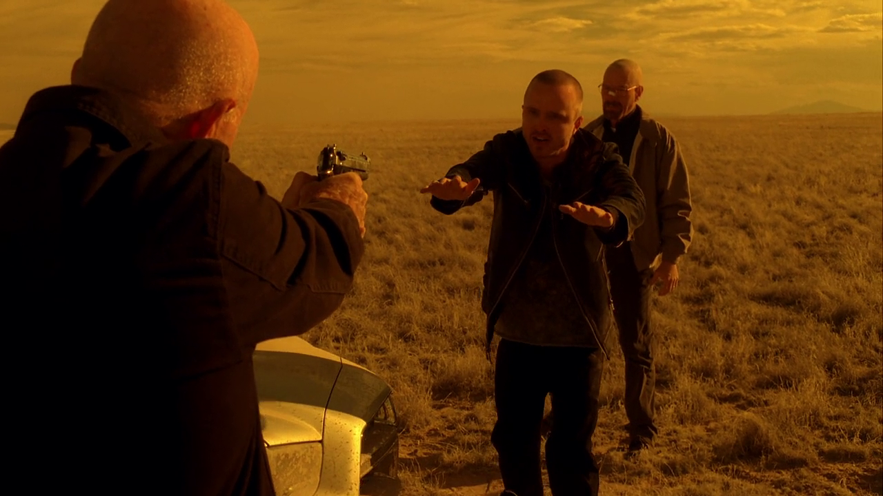 Download Breaking Bad Season 5 Dual Audio Hindi-English 720p & 1080p BluRay ESubs