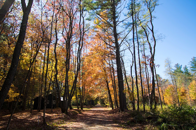 Foliage-Kancamagus Hwy e White mountains