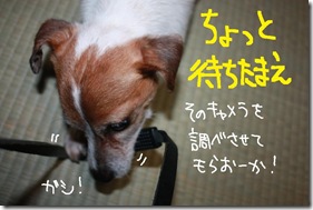 今日カズ１００４１８　１