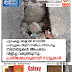 പൂടംകല്ല്-ബളാൽ റോഡിൽ പാലച്ചുരം തട്ടിന് സമീപം സ്ഥാപിച്ച സ്ലാബുകൾ അപകടം വിളിച്ച് വരുത്തുന്നു; പ്രതിഷേധവുമായി നാട്ടുകാർ