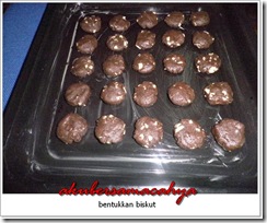 biskut raya