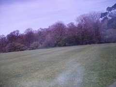 DSCF0677