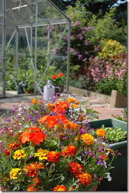 garden 001