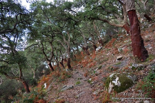 Garganta del Capitán