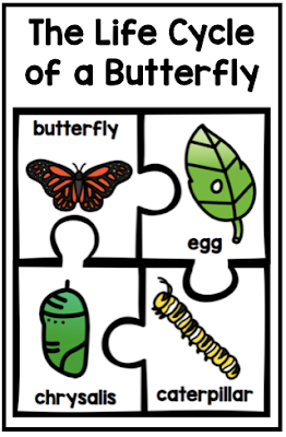 Butterfly Life Cycle https://www.teacherspayteachers.com/Product/Butterfly-Life-Cycle-3664106