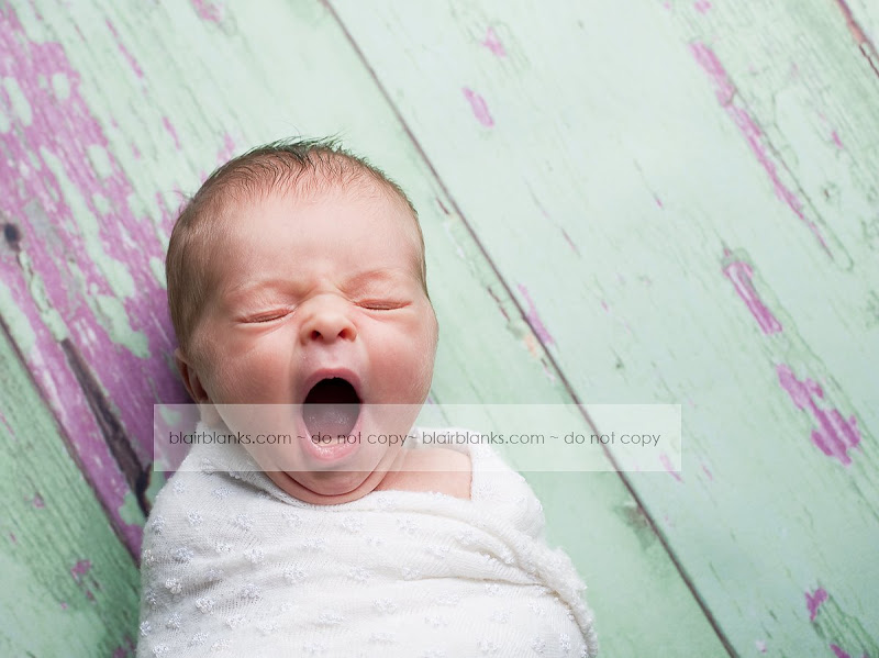 professional baby photographers in Maryland