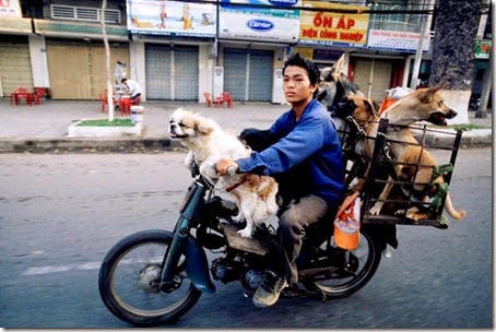 Motor Motor Serba Bisa 10
