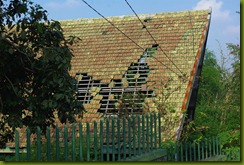 IMGP5795
