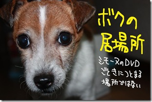 今日カズ１０１１２４　４
