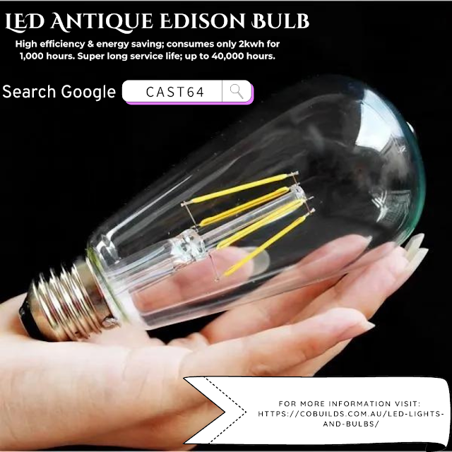 LED Antique Edison Bulb