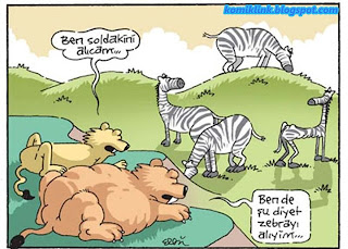 Hayvan Karikatürleri