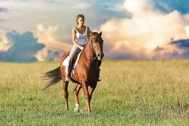 101 Fascinating Facts About Horse Riding: Explore the World of Equine Sports and Leisure