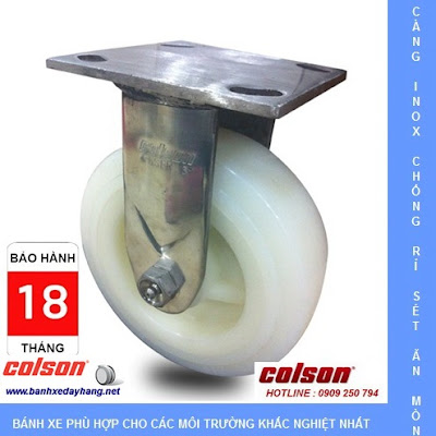 Bánh xe đẩy càng inox 304, bánh xe Nylon tải từ 295kg đến 450kg/bánh www.banhxeday.xyz