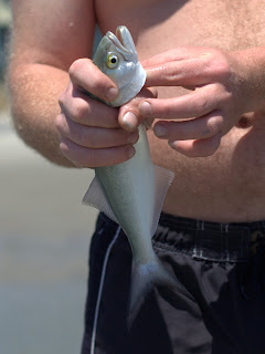 a man holding a fish that he caught